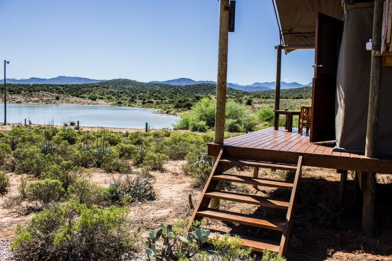 Buffelsdrift Game Lodge