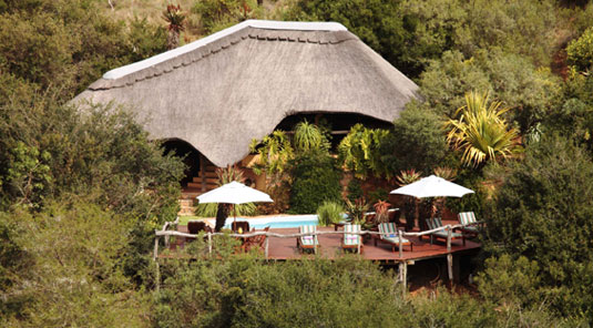 Lalibela Game Reserve Eastern Cape South Africa
