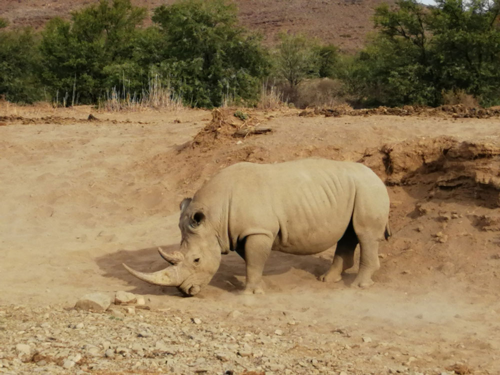 Sanbona Wildlife Reserve - Western Cape - Cape Reservations